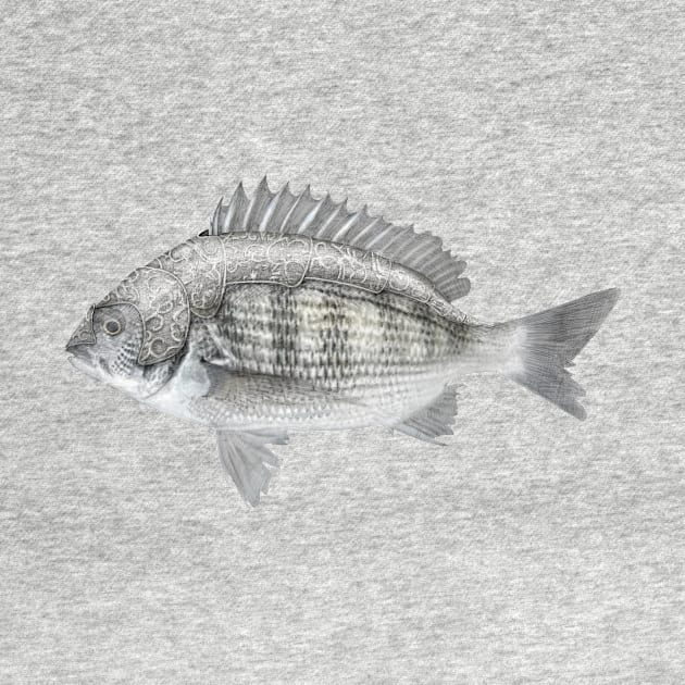 black porgy by sabada